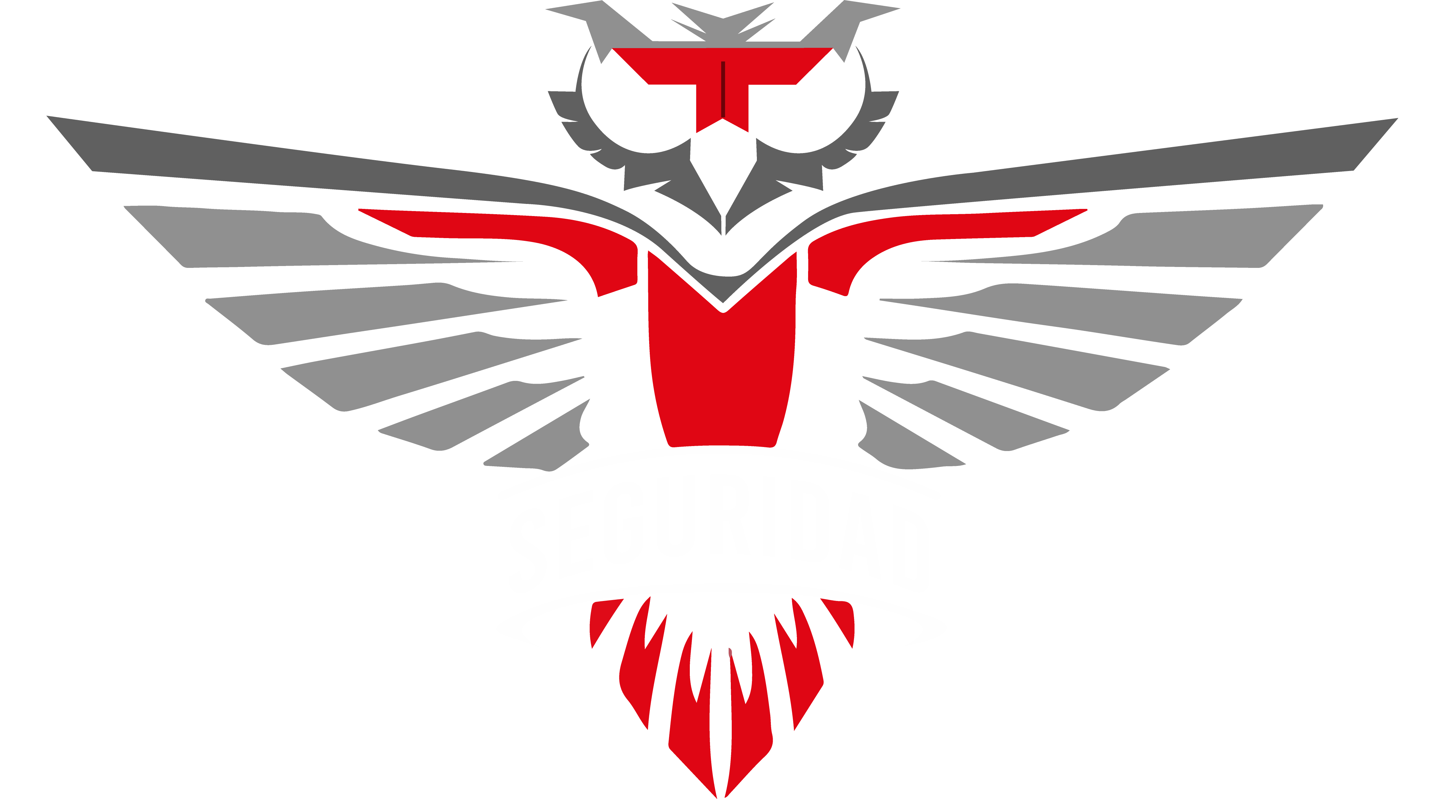Insignia OttoSeguridad